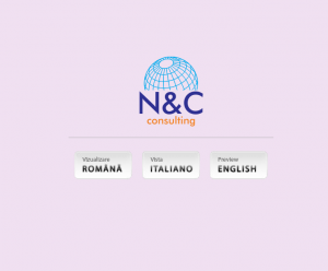 consulting-nc